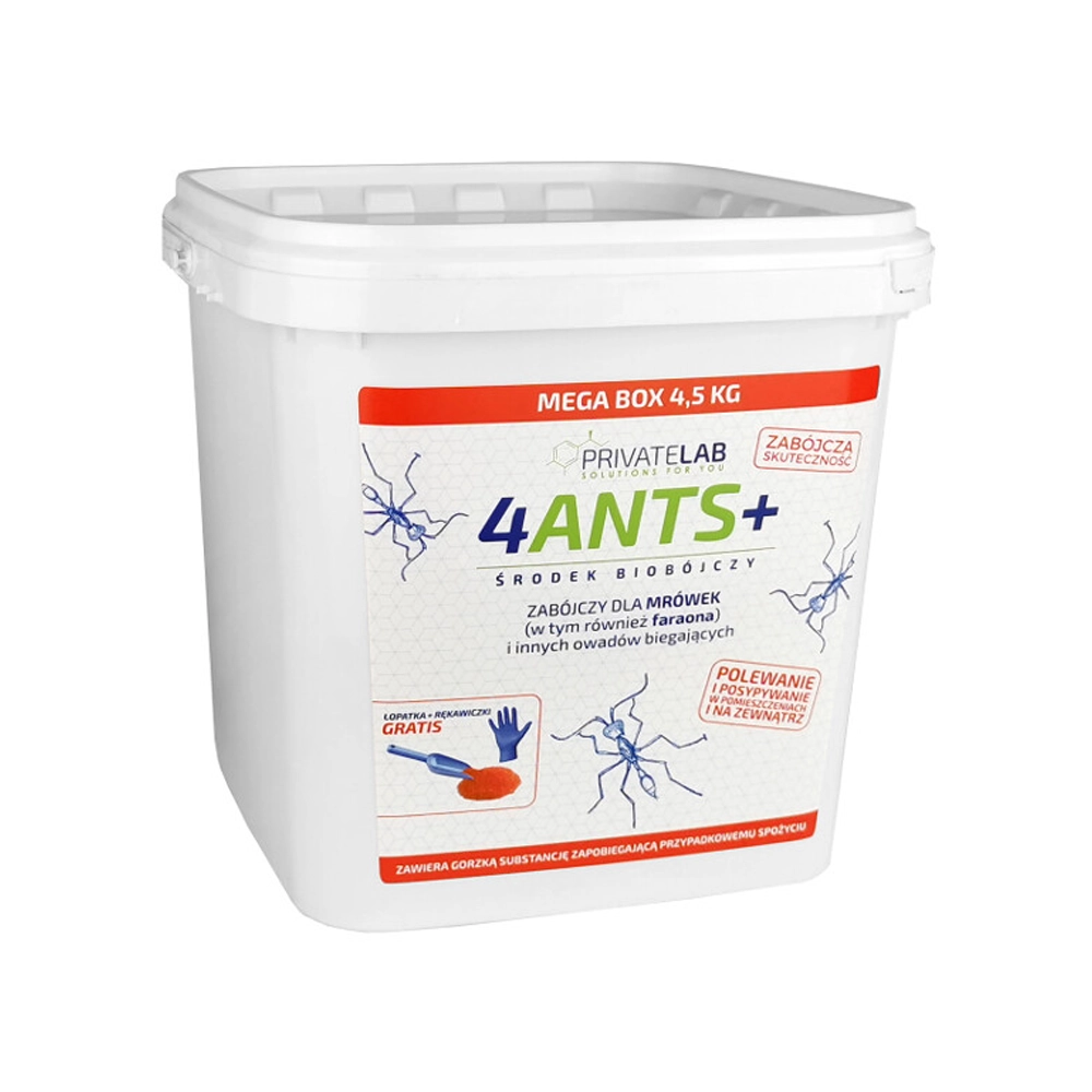 4Ants+